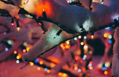 白色圣诞树周围的各色串灯